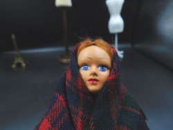 english jay plaid face
